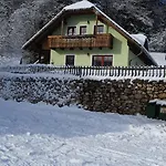 Фермерский дом Vaznik Блед