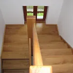Vaznik *