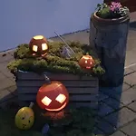 Vaznik Фермерский дом *