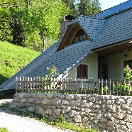 Vaznik Farm House Feriegård Bled