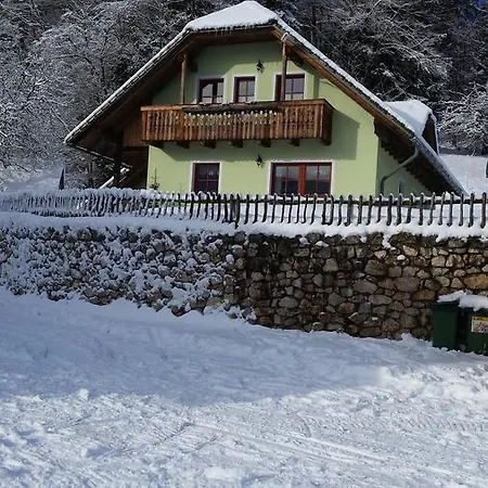 Feriegård Vaznik Farm House Bled
