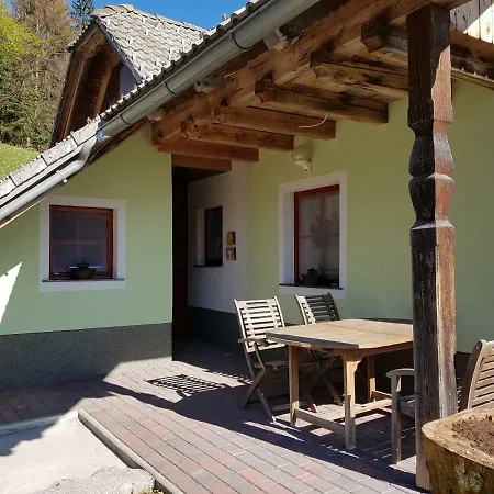 Vaznik Farm stay *