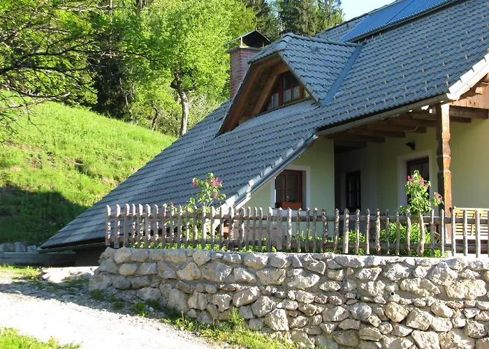 Vaznik Alloggio per agriturismo Bled