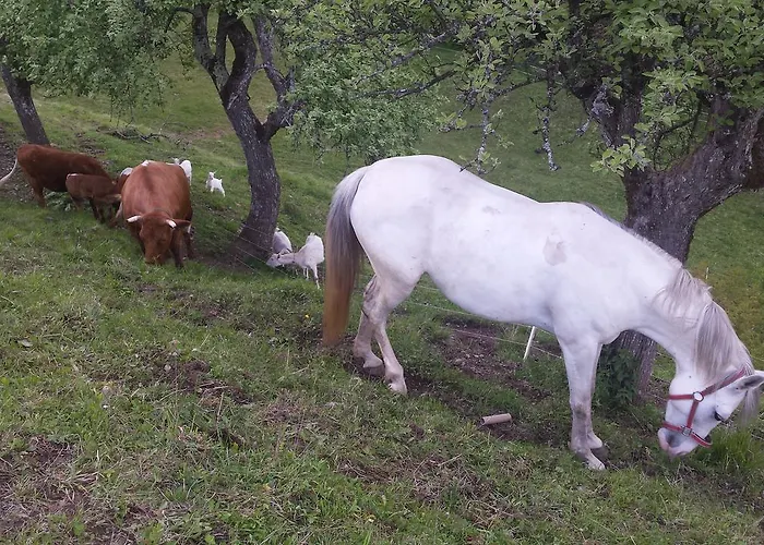 Vaznik Alloggio per agriturismo