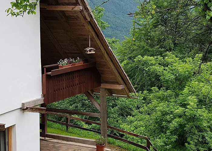 Vaznik * Μπλεντ